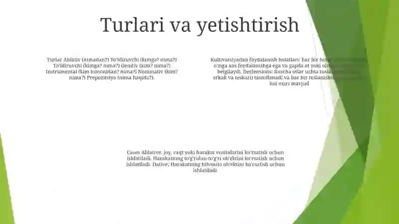 Padejlar (Rus tili) 3