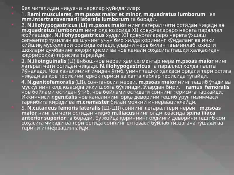 Бел-думгаза чигалининг функционал анатомияси 3