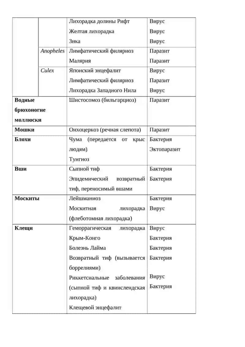 Морфология, ультраструктура, распространённости боррелёзов и их лабораторных диагностика 3