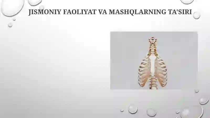 Jismoniy faoliyat va mashqlarning ta'siri 3