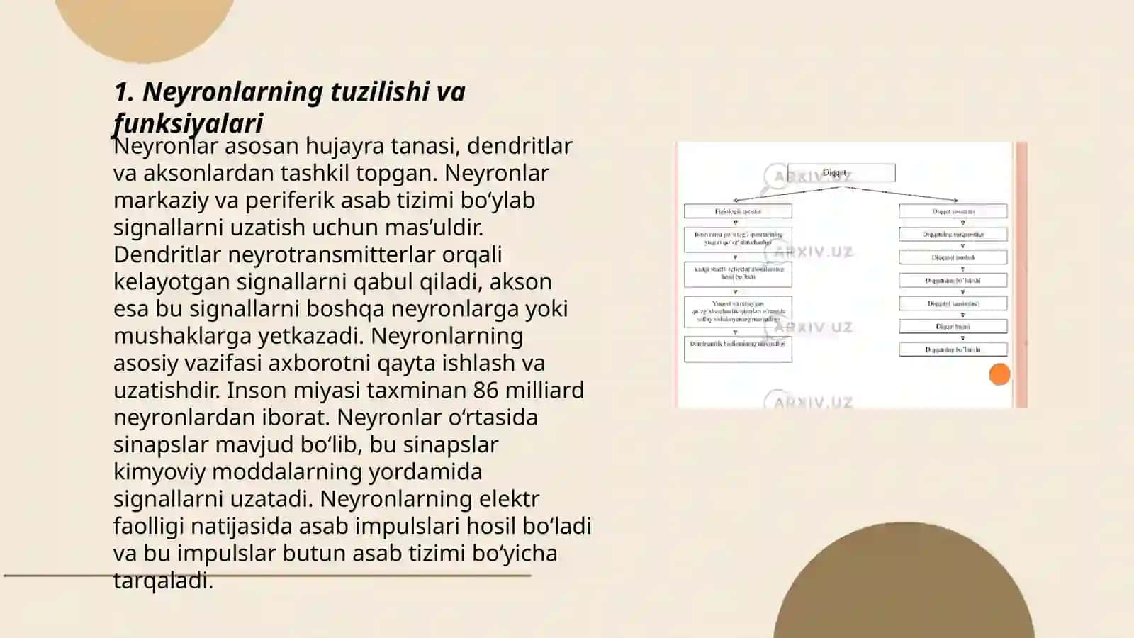 Xulq-atvorning nerv-fiziologik asoslari 3