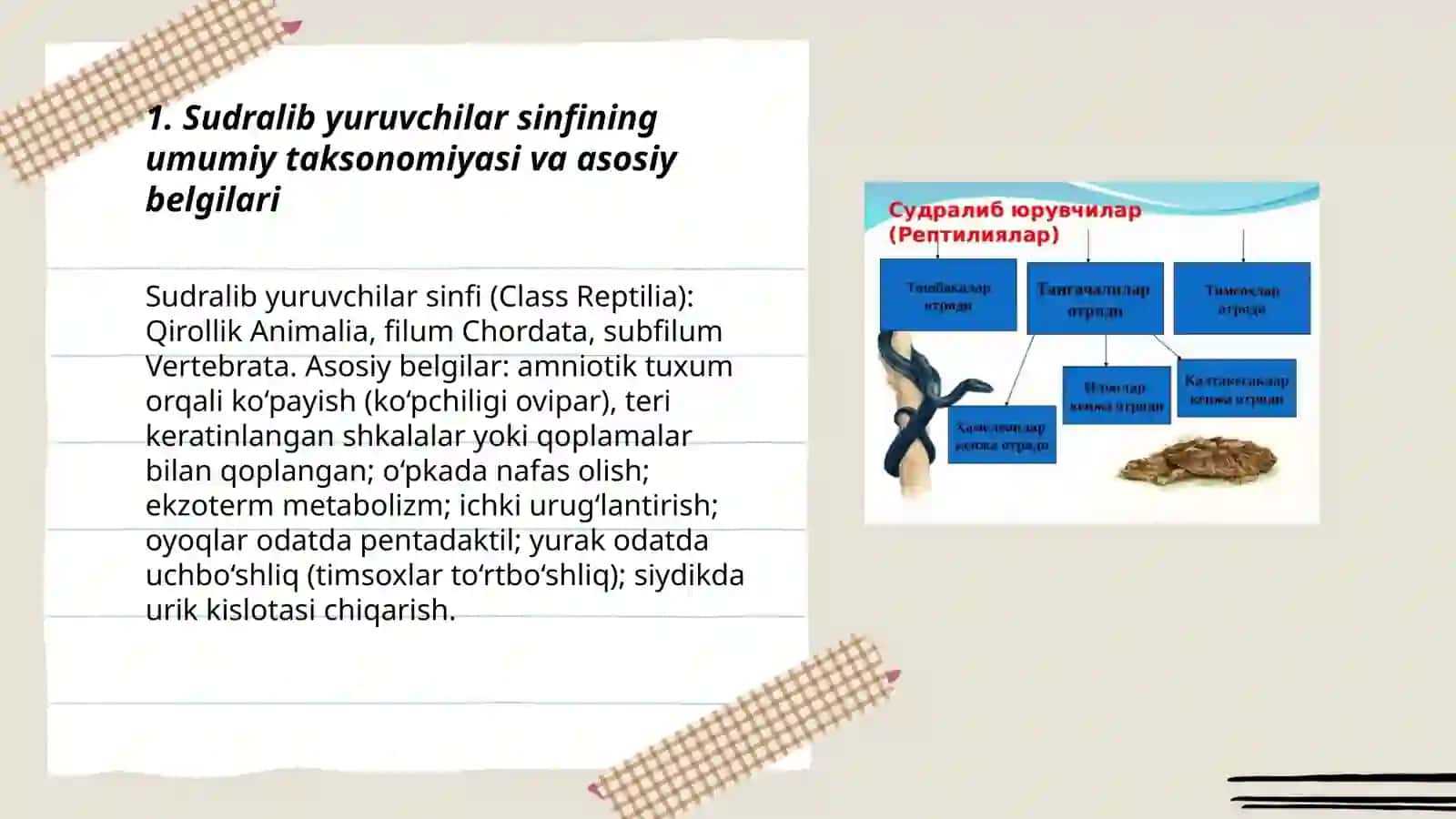 Sudralib yuruvchilar sinfi. Toshbaqa va Timsoxlar turkumi 3