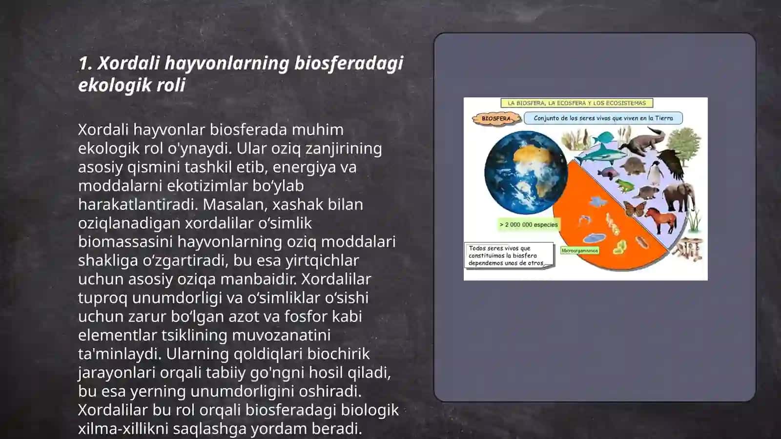 Xordali hayvonlarning biosferadagi ekologik roli 3