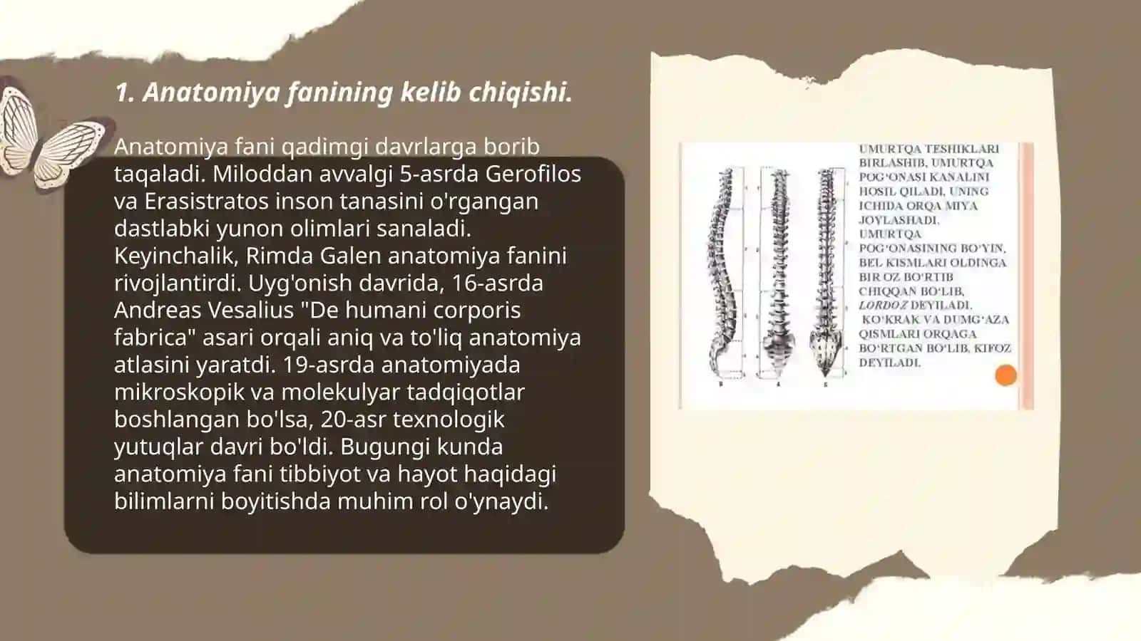 Anatomiya fanining rivojlanish tarixi va boshqa fanlar bilan aloqasi 3