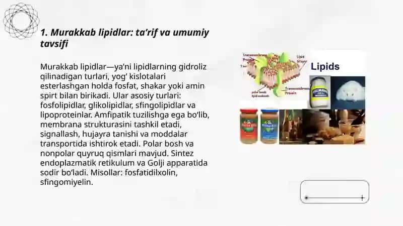 Murakkab lipidlar 3