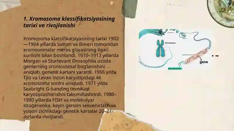Xromasomalar klassifikatsiyasi sistemalari.Genetik kartalar 3