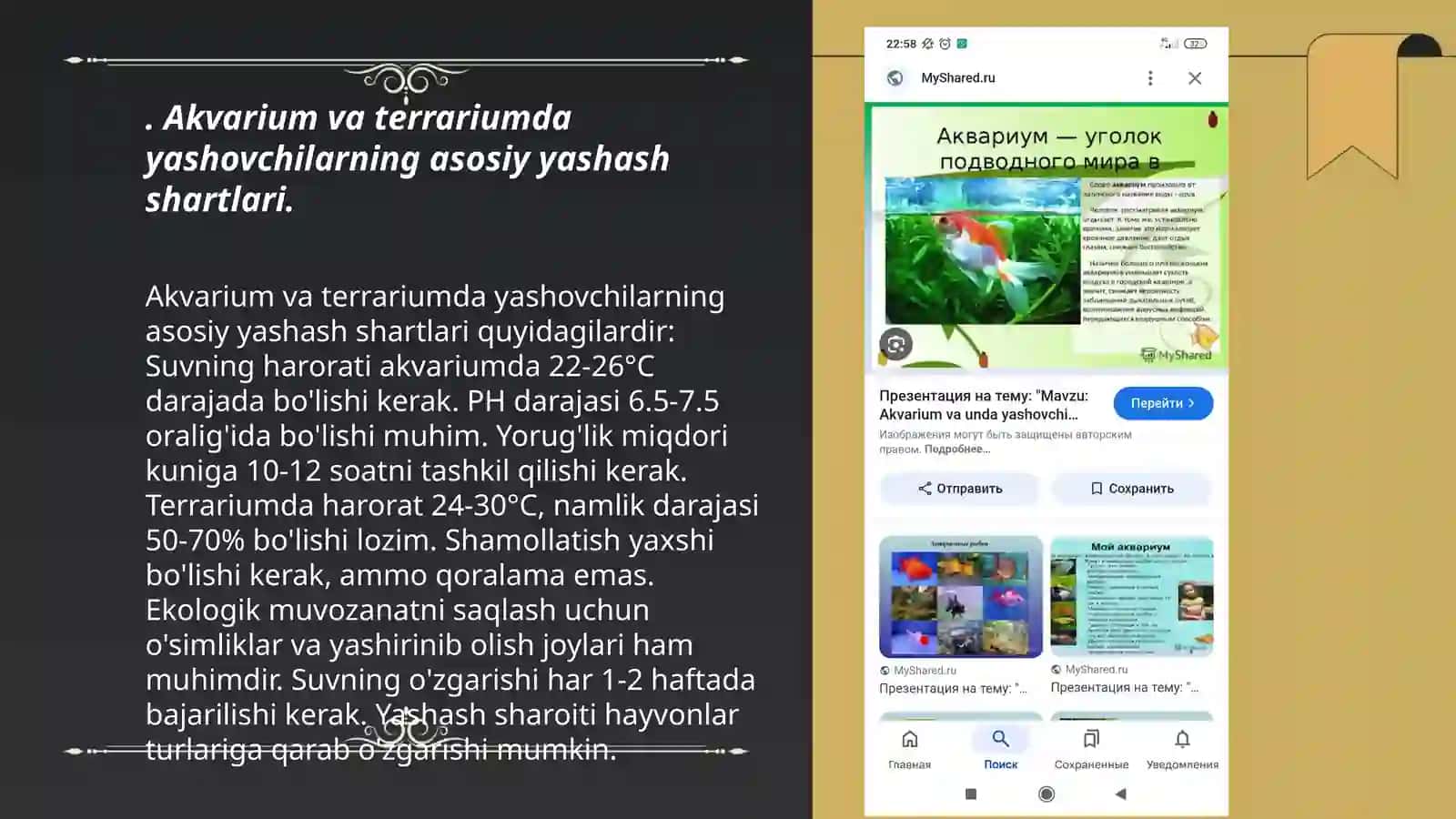 Akvarium va trroriumda yashovchilarning shart-sharoitini organish yuzasidan slayd tayyorlash 3