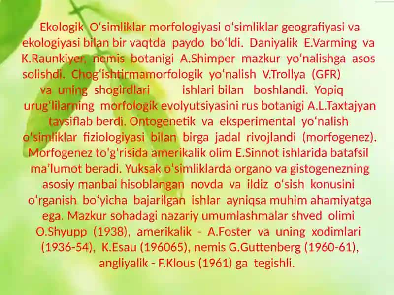 Oʻsimliklar morfolojiyasi 3