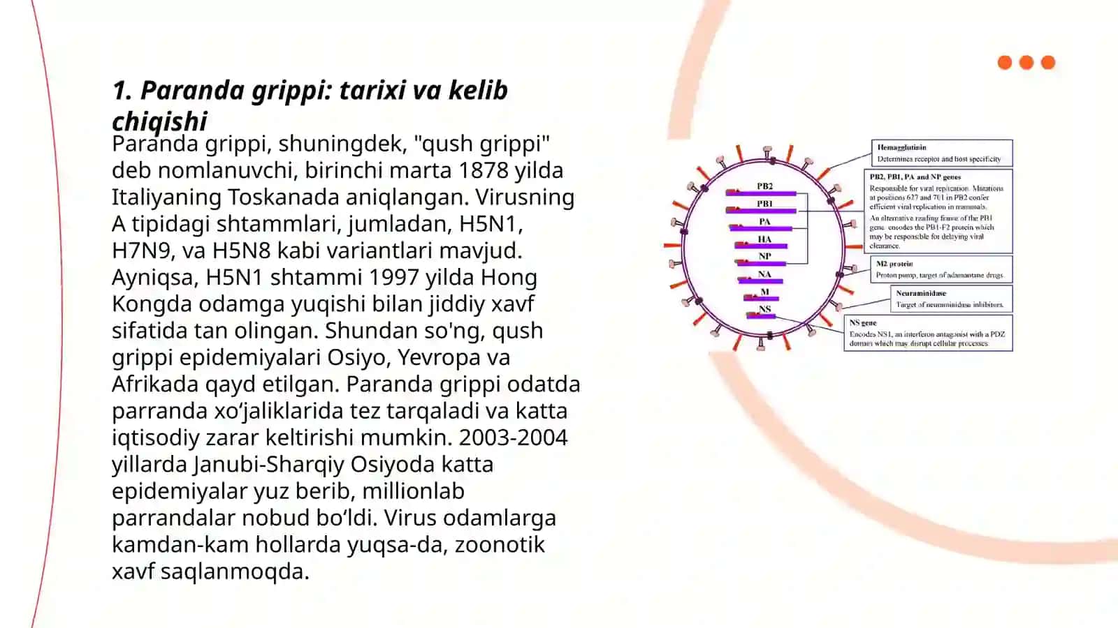 Paranda va Cho'chqa Grippi va Uning Hozirgi Kundagi Muommolar 3