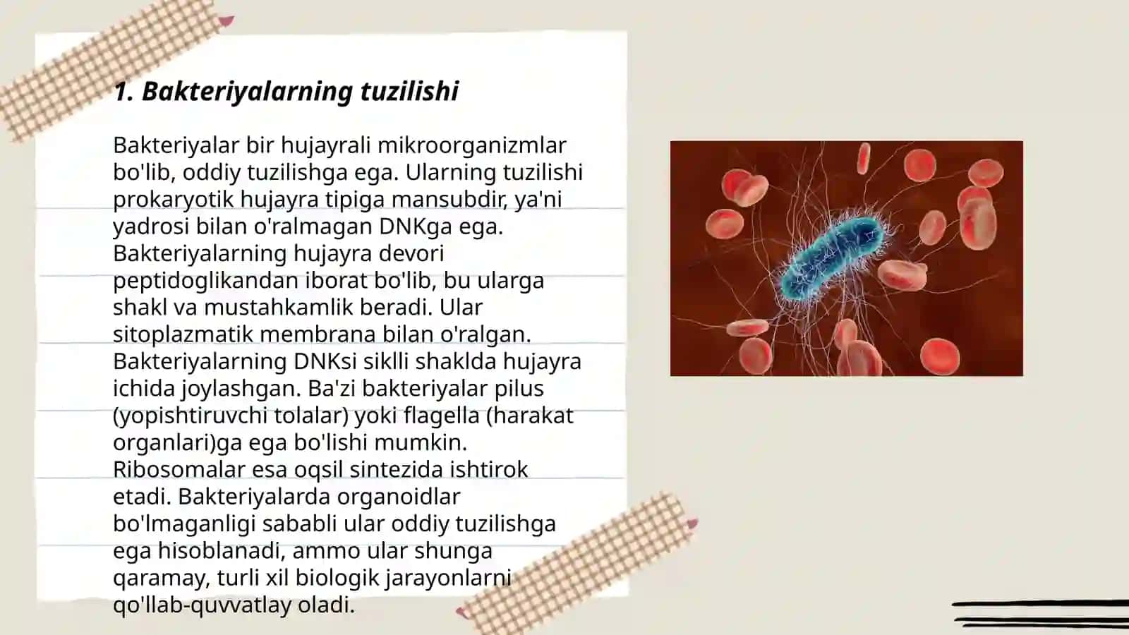Bakteriyalar, viruslar, zamburugʻlar va ularning tarqalishi 3