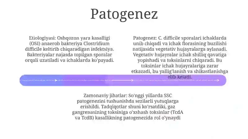 Oshqozon Yarasi Kasalligi:Etiologiyasi Va Patogenezidagi Zamonaviy Aspektlar 3