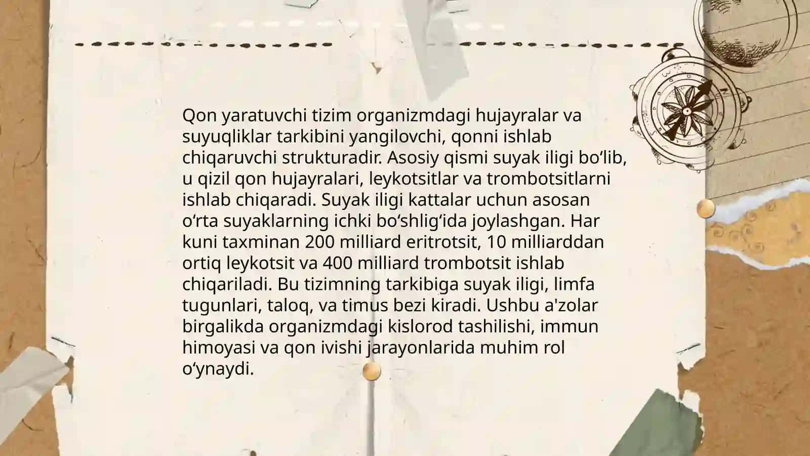 Qon yaratuvchi va immun a'zolari 3
