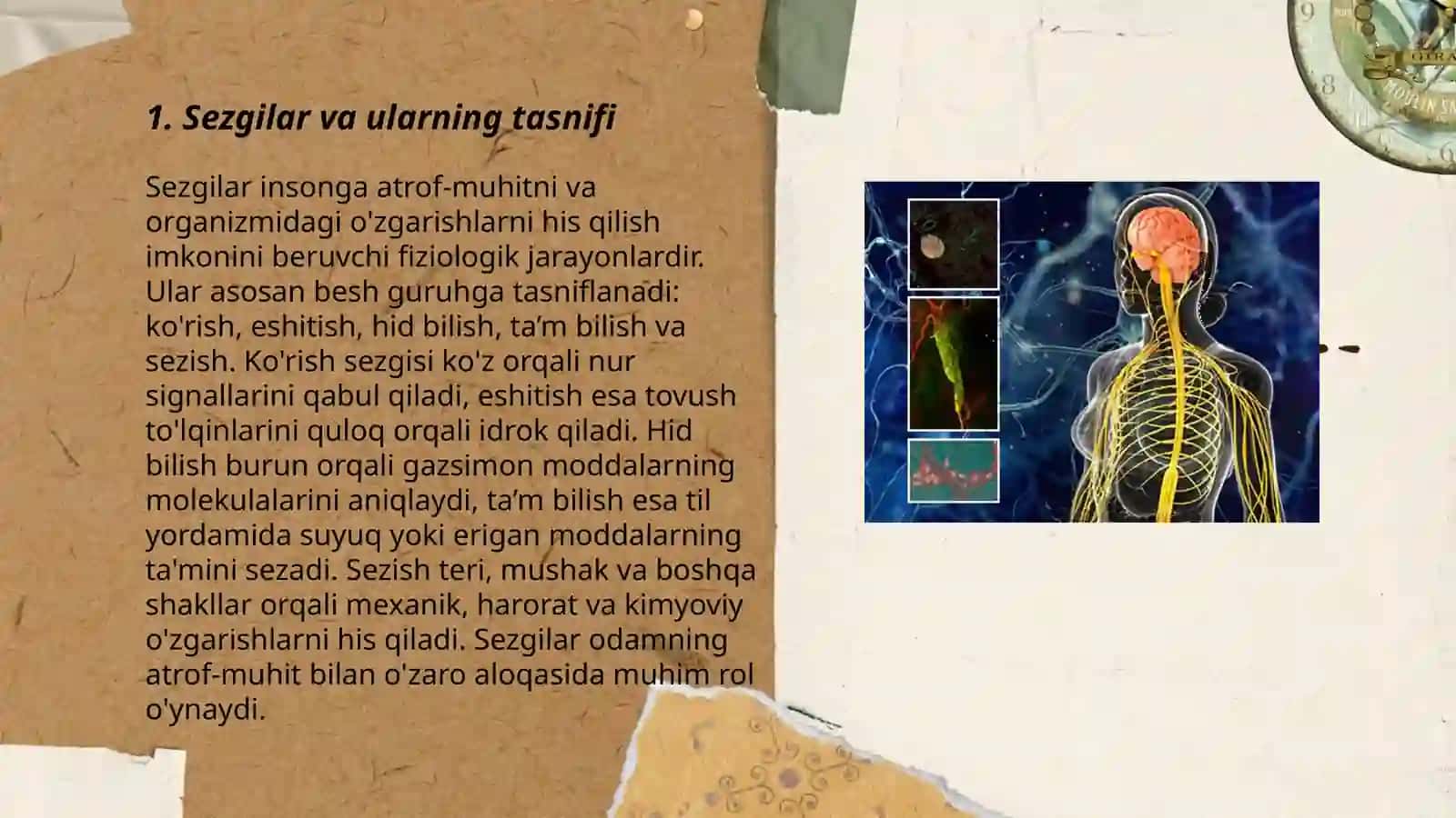 Sezgilar klassifikatsiyasi va sezgilarning oʻzgaruvchan shakllari 3