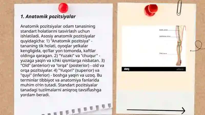 Anatomiya usullari.Tana o’qi va satxlari 3