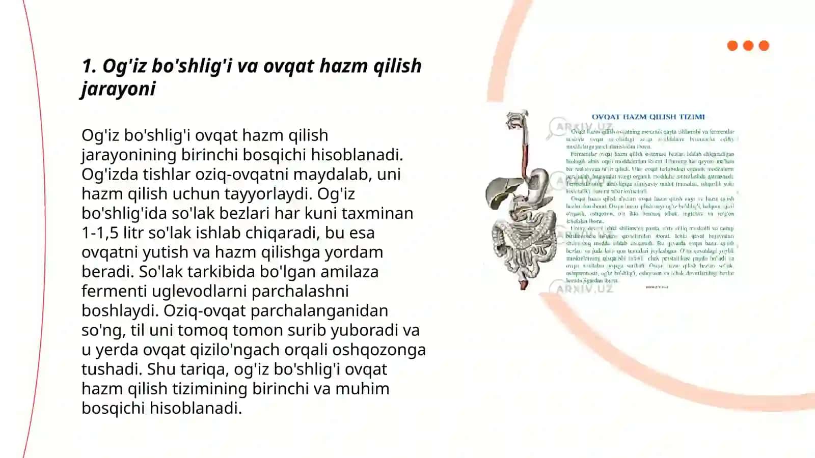 Ichki organlar.Ovqat hazm qilish sistemasi 3
