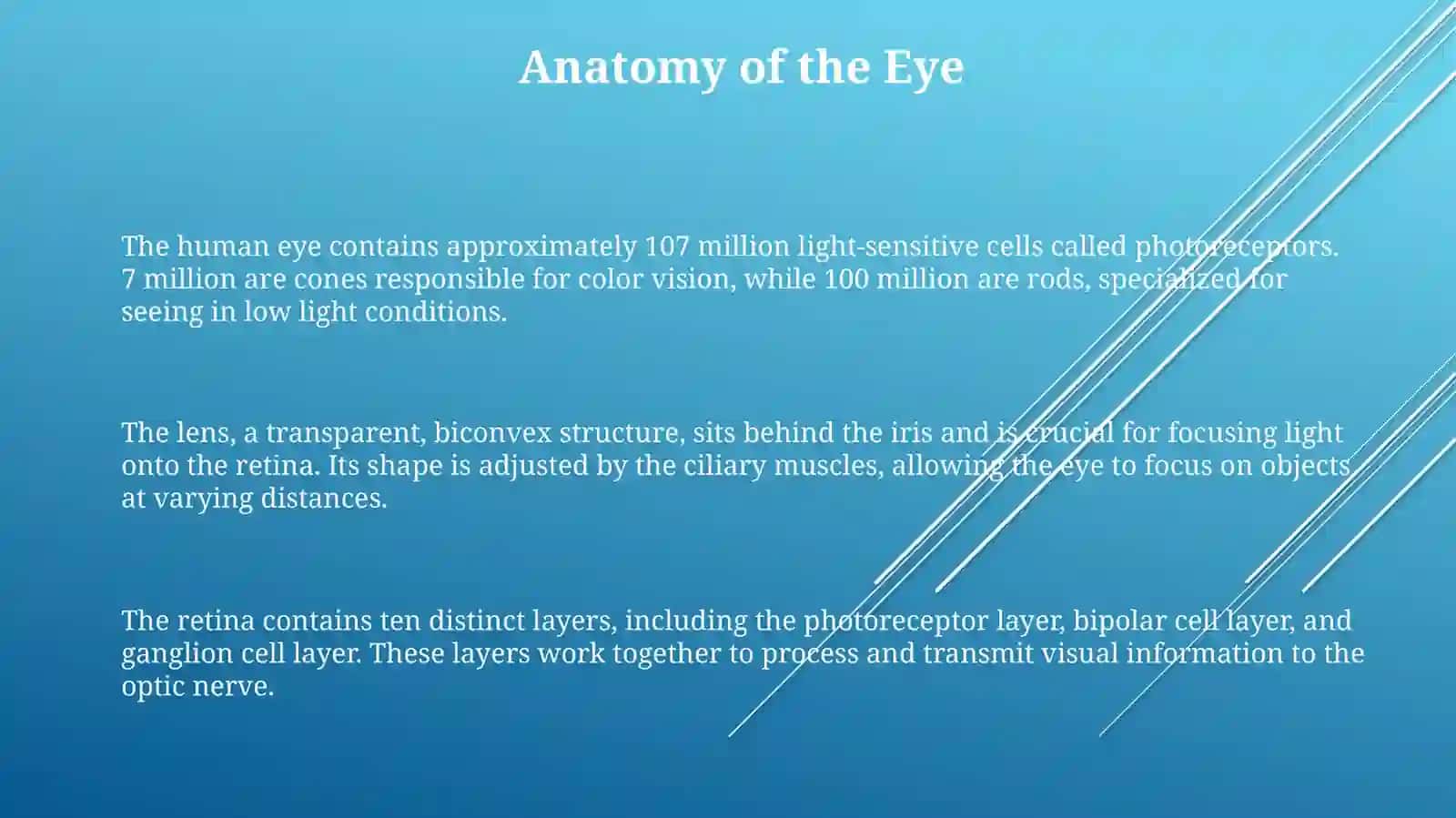 The eye 3