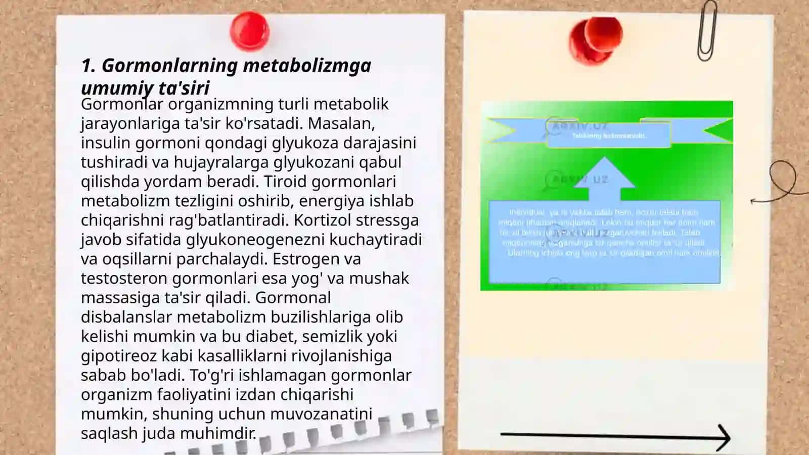 Gormonlar giper va gipofunktsiyasini metabolizmning ozgarishiga tasiri 3