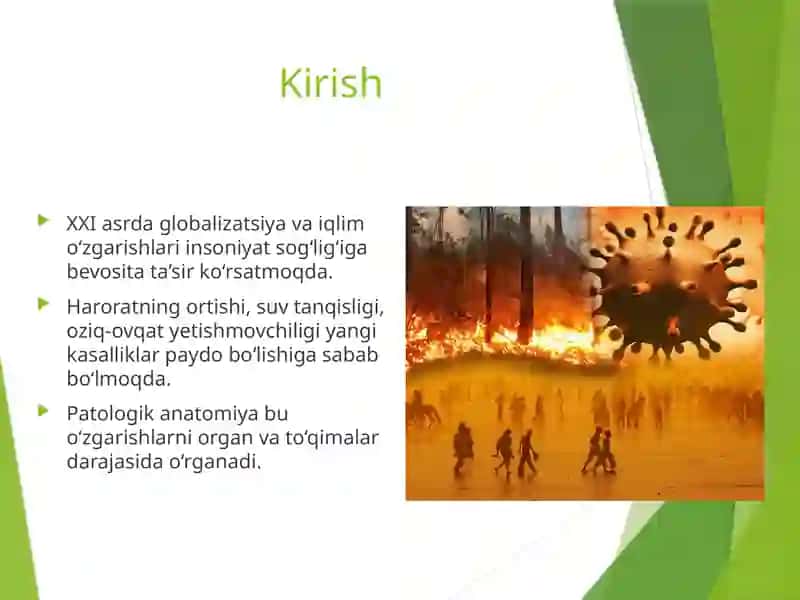 Kasallikning global tashvishi.Iqlim o'zgarishlarining tibbiy oqibatlari 3