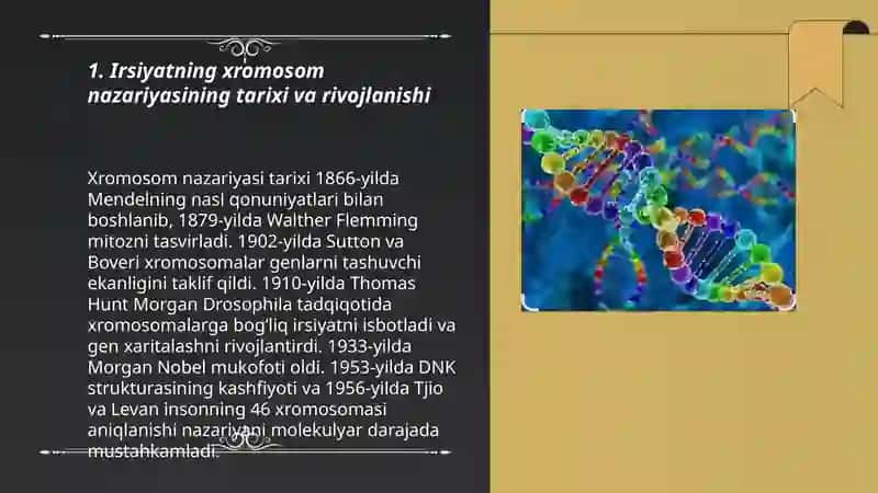 Irsiyatning xromosom nazariyasi 3