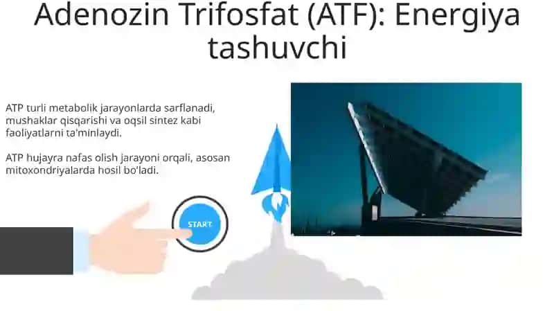 Metabolizm jarayonida energiya hosil bo'lishi va sarflanishi 3