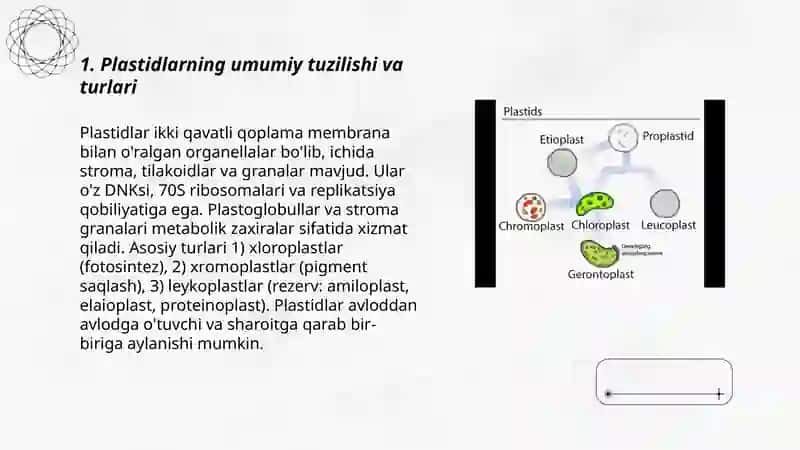 Plastidalarning ahamiyati 3