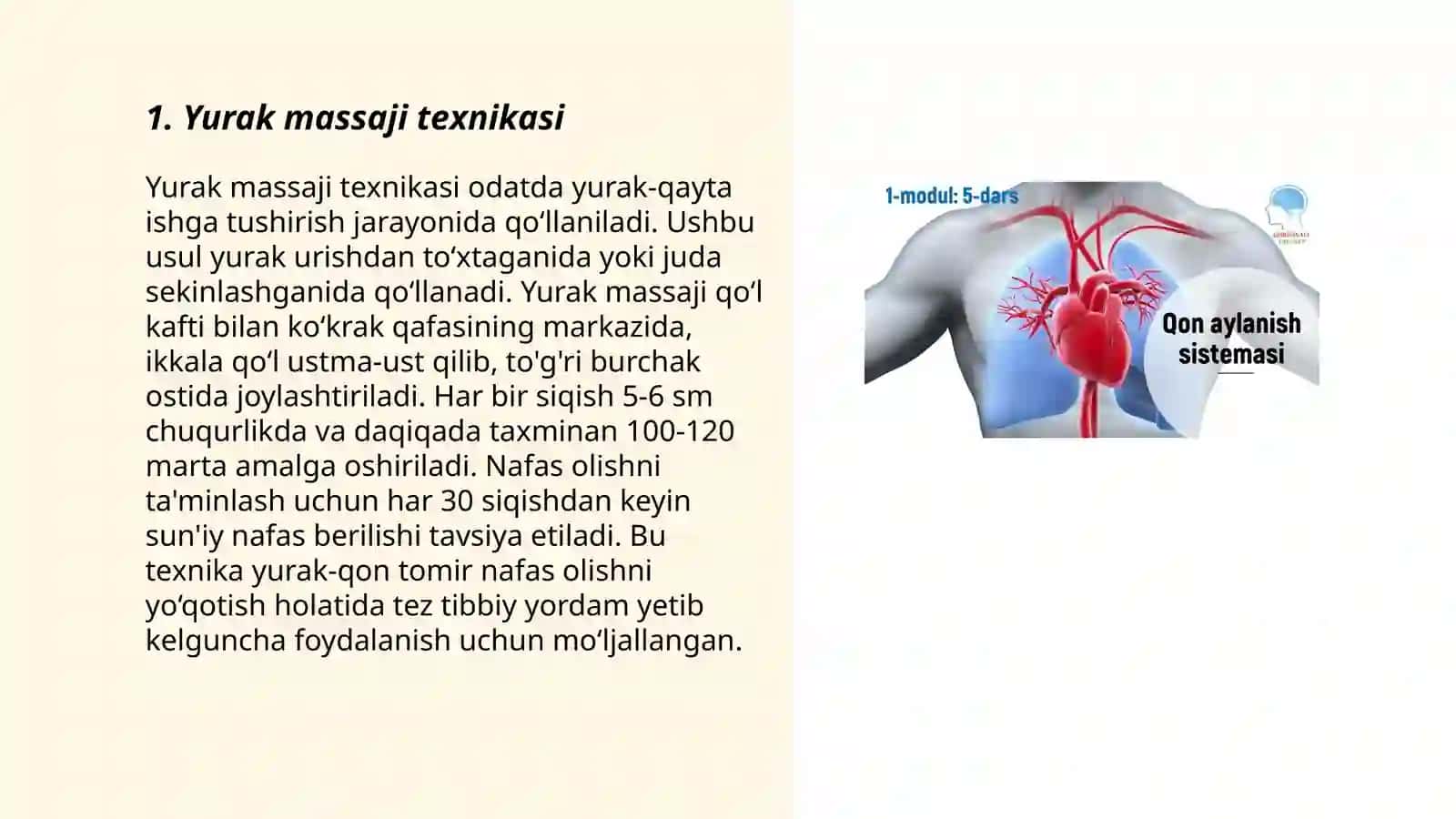 Yurak oʻpka reanimatsiya i oʻtkazish 3