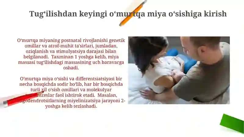 Bolalarda tug'ilgandan keyin orqa miyani o'sishi va differensirovkasi 3