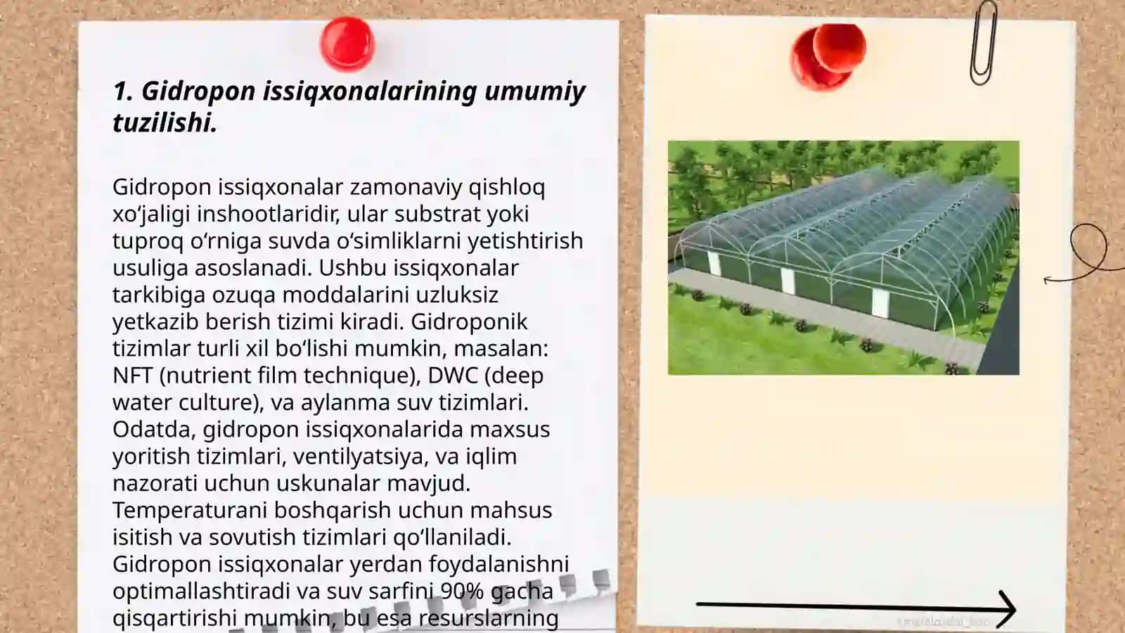 Gidropon issiqxonalarni tuzilishi va ularni konstruktiv elementlari 3