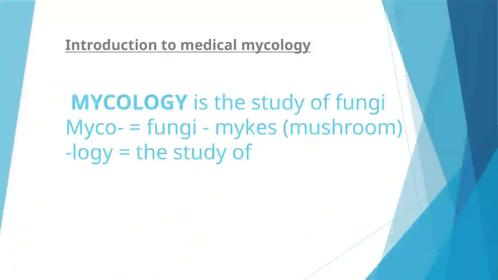 Medical Mycology Lecture 3