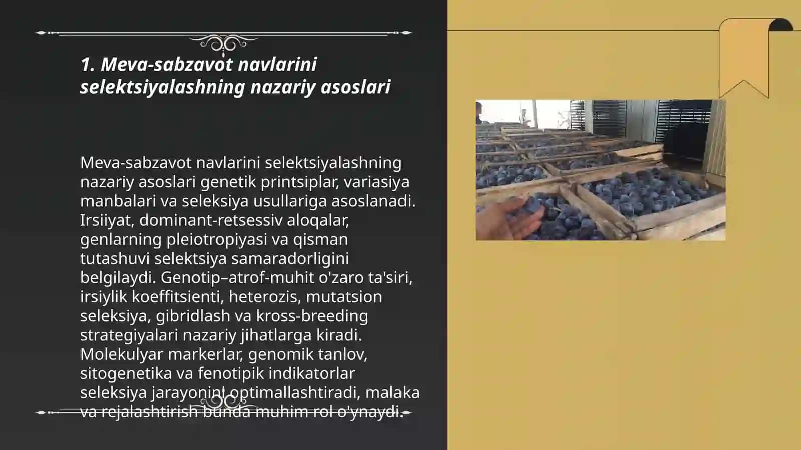 Meva-sabzavot ekinlari seleksiyasi va navshunosligini yuritish 3