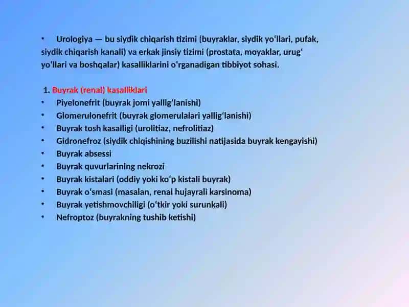 mustaqil ish. prezentatsiya 3