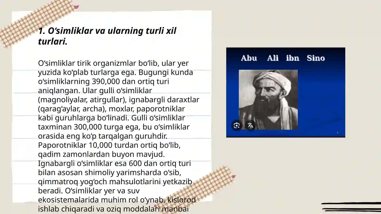 Yuksak o‘simliklar tarixi 3