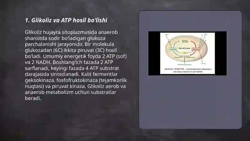 Metabolizm jarayonida energiya hosil boʻlishi va sarflanishi 3
