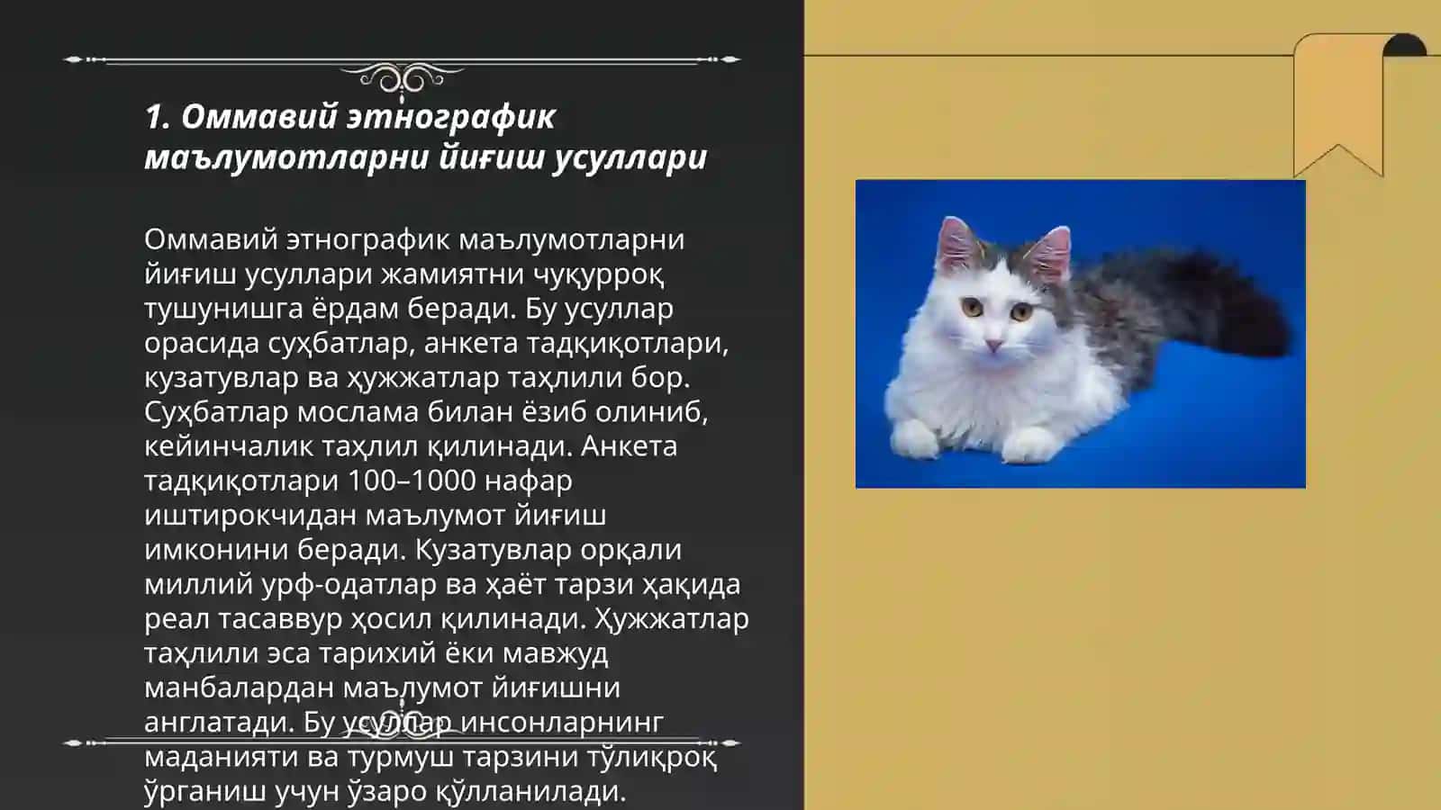XIX АСРДА ЭТНОГРАФИК БИЛИМЛАРНИНГ ТЎПЛАНИШИ. ЭКСПЕДИЦИЯЛАР 3