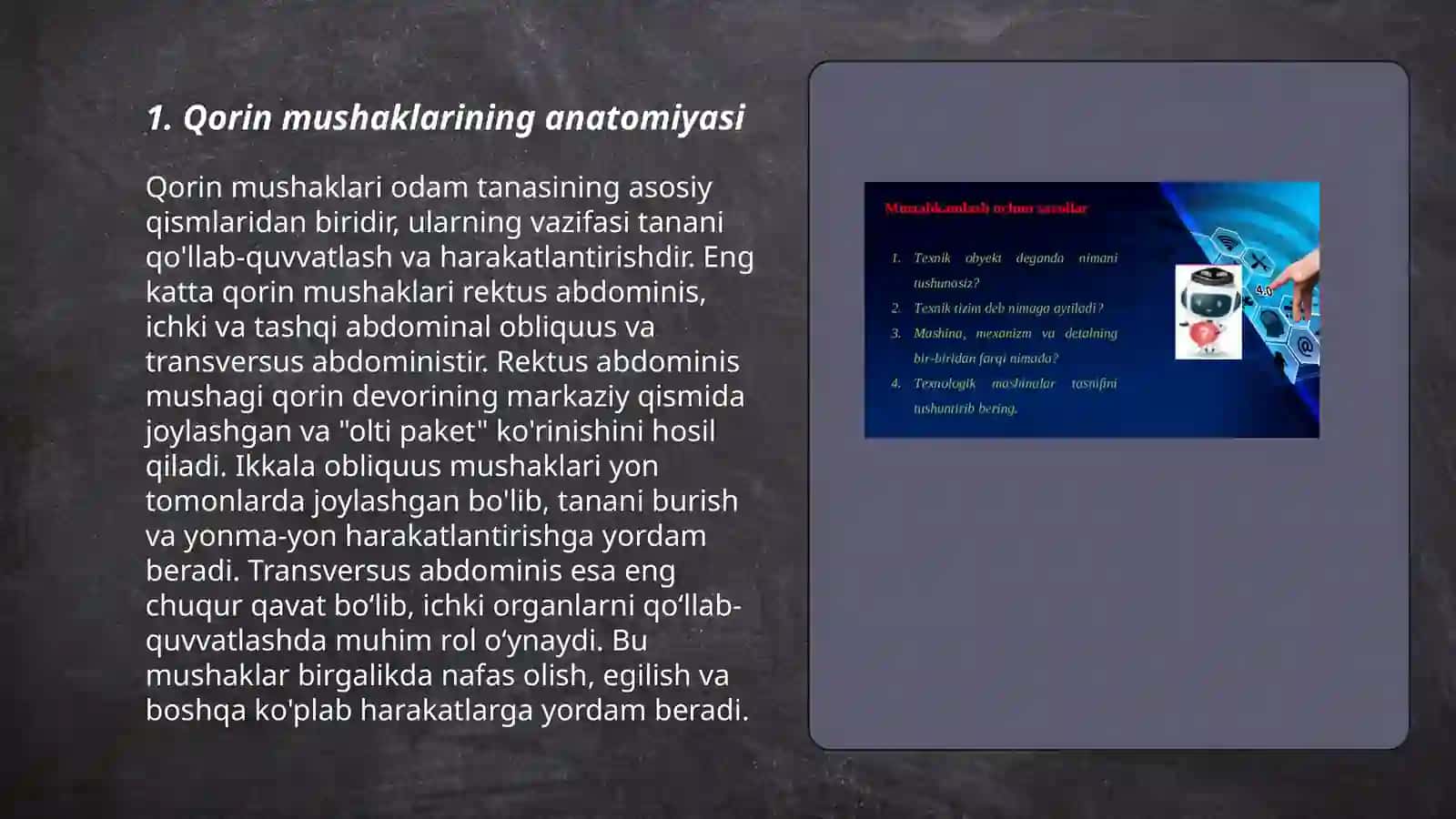 Mukullar haqida umumiy tushuncha. Qorin muskulari 3
