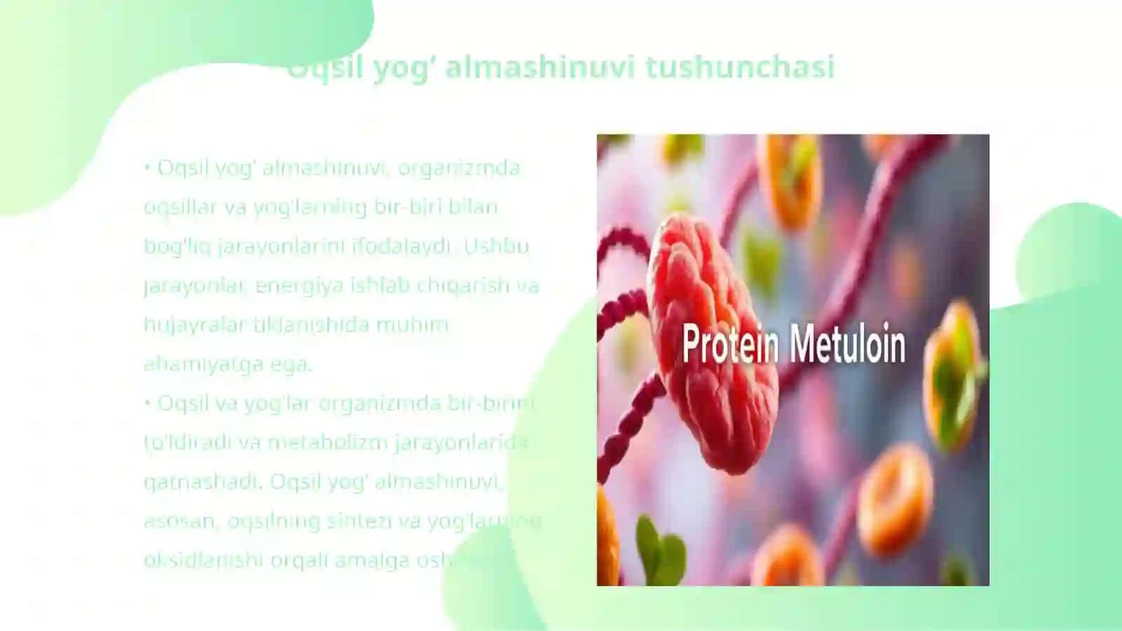 Oqsil yog’ almashinuvi 3