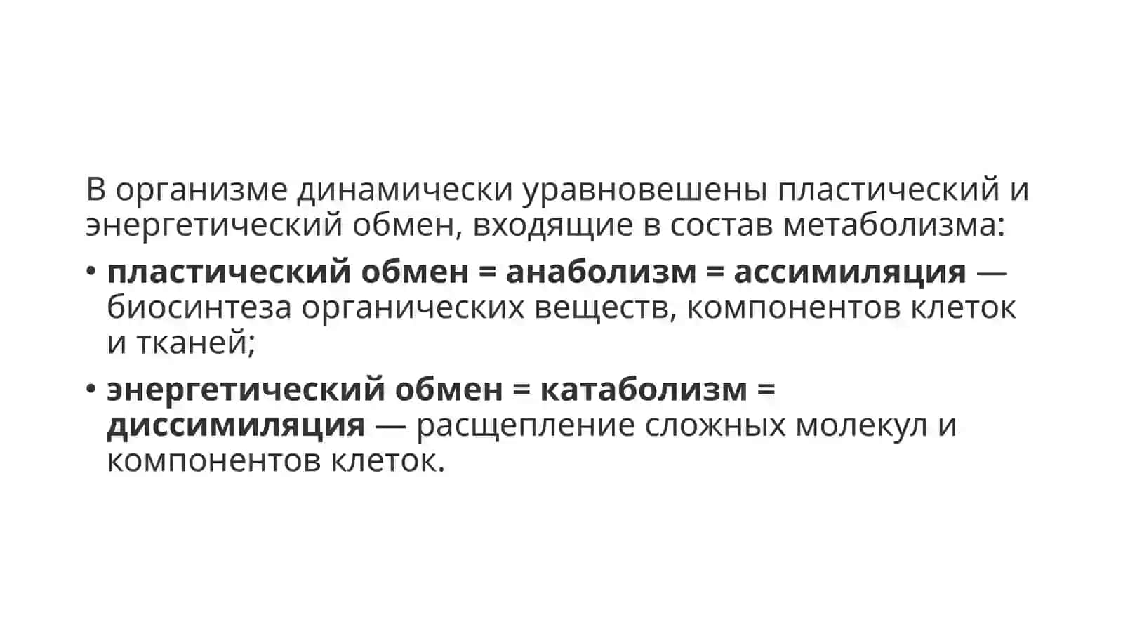 Обмен веществ в организме 3