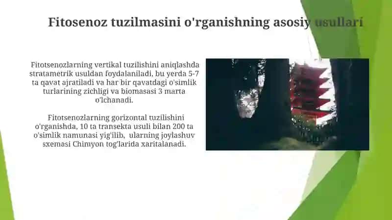 Fitosenozning tuzilishini o’rganish 3