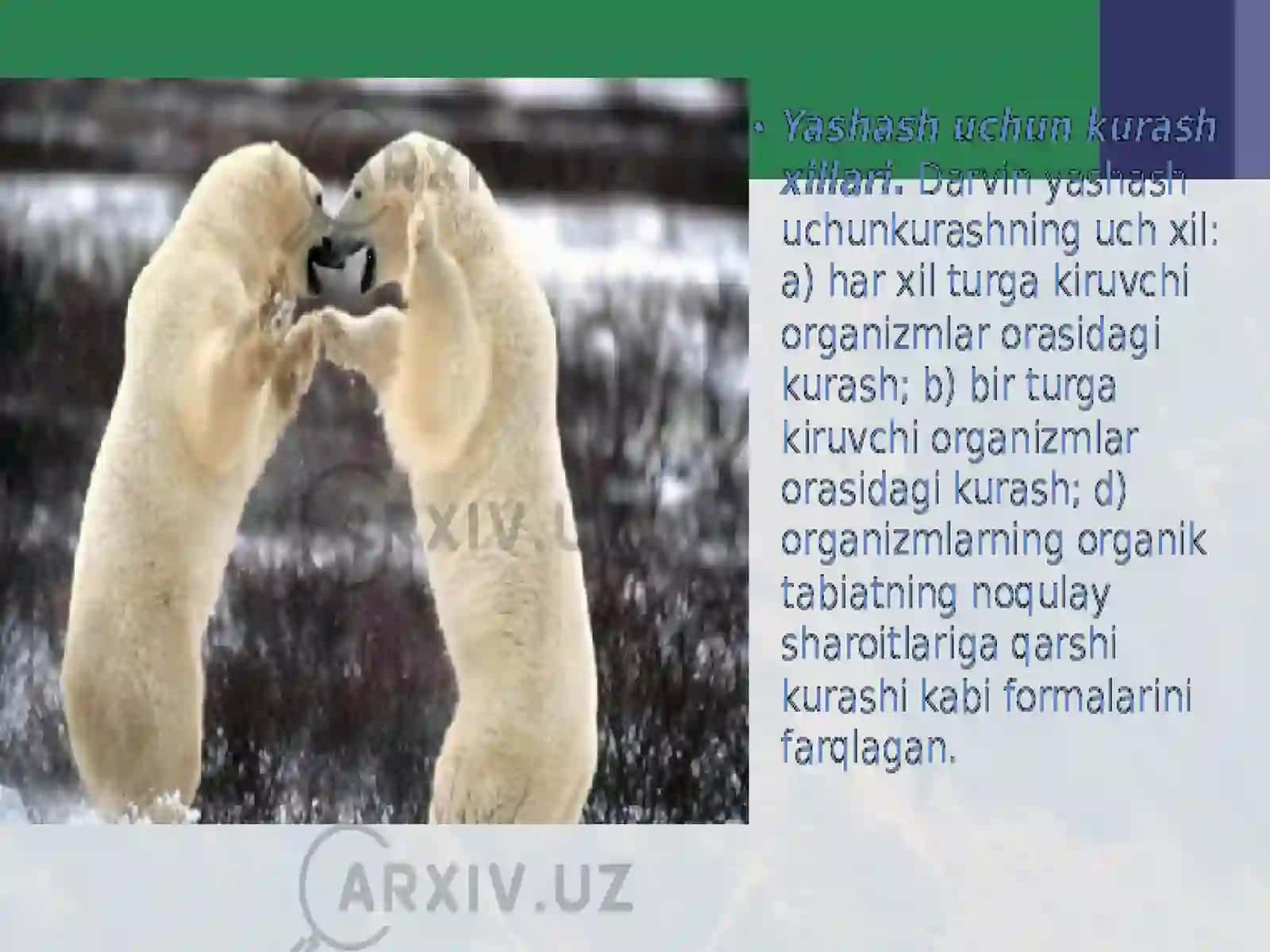 Yashash uchun kurash 3