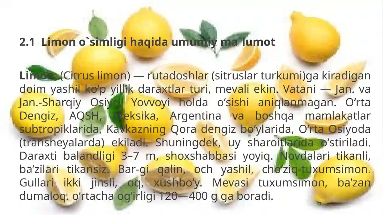 Limono`simligi 3