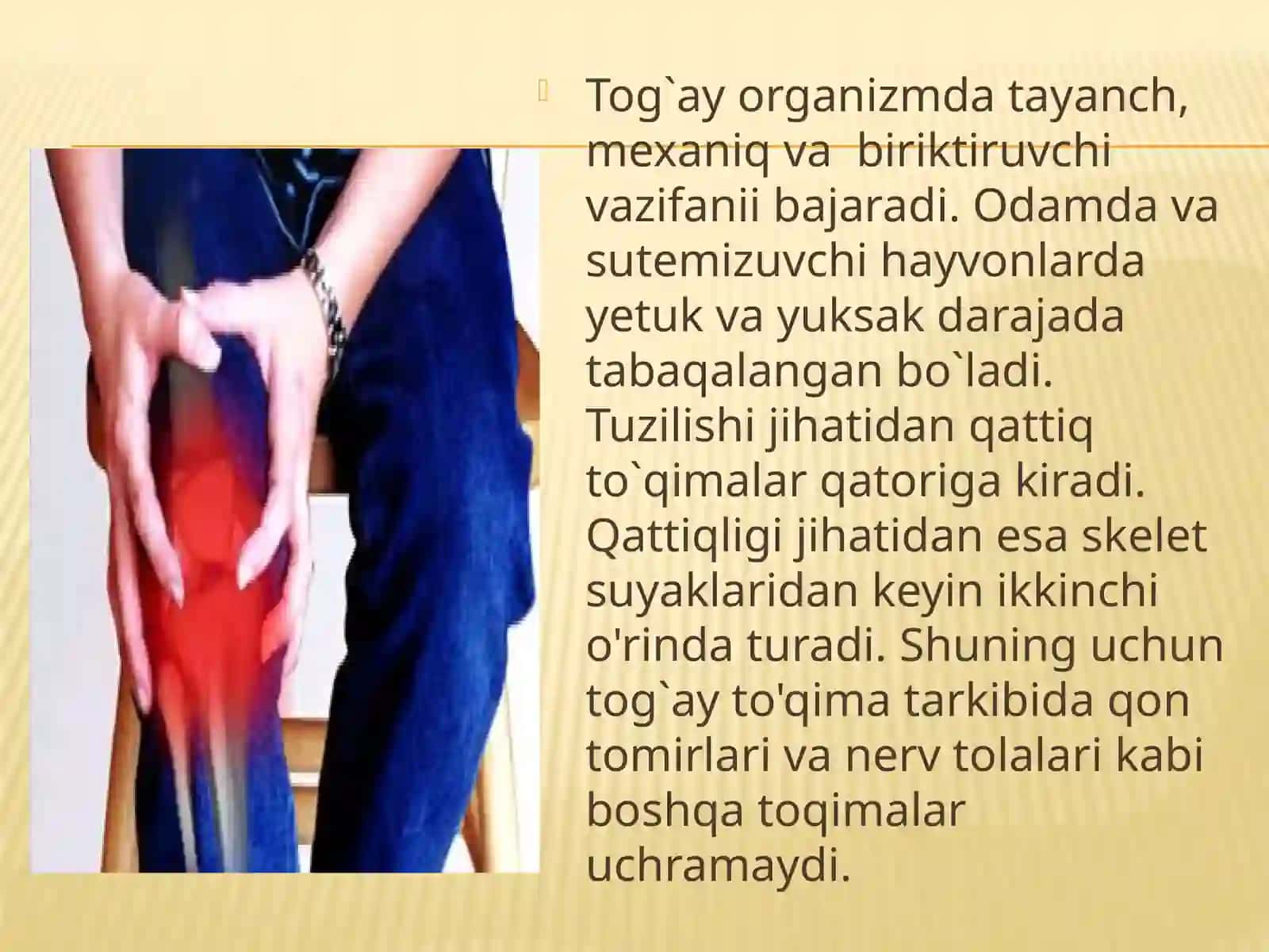 Tog`ay to`qimasi, uning gistologik tuzilishi va tiplari 3