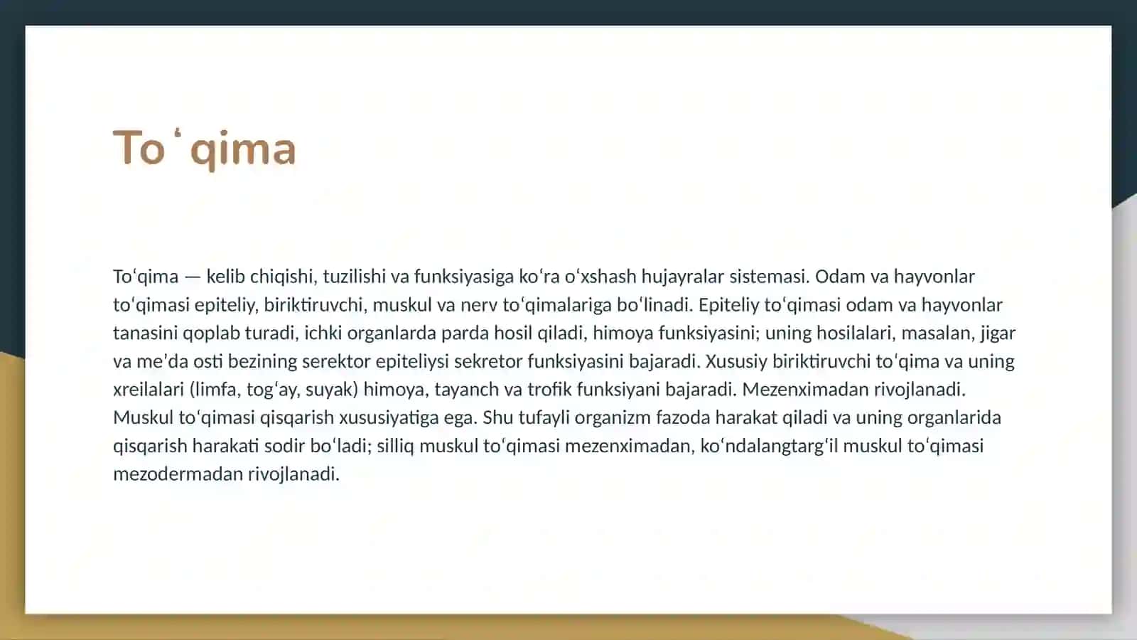 Toʻqima 3