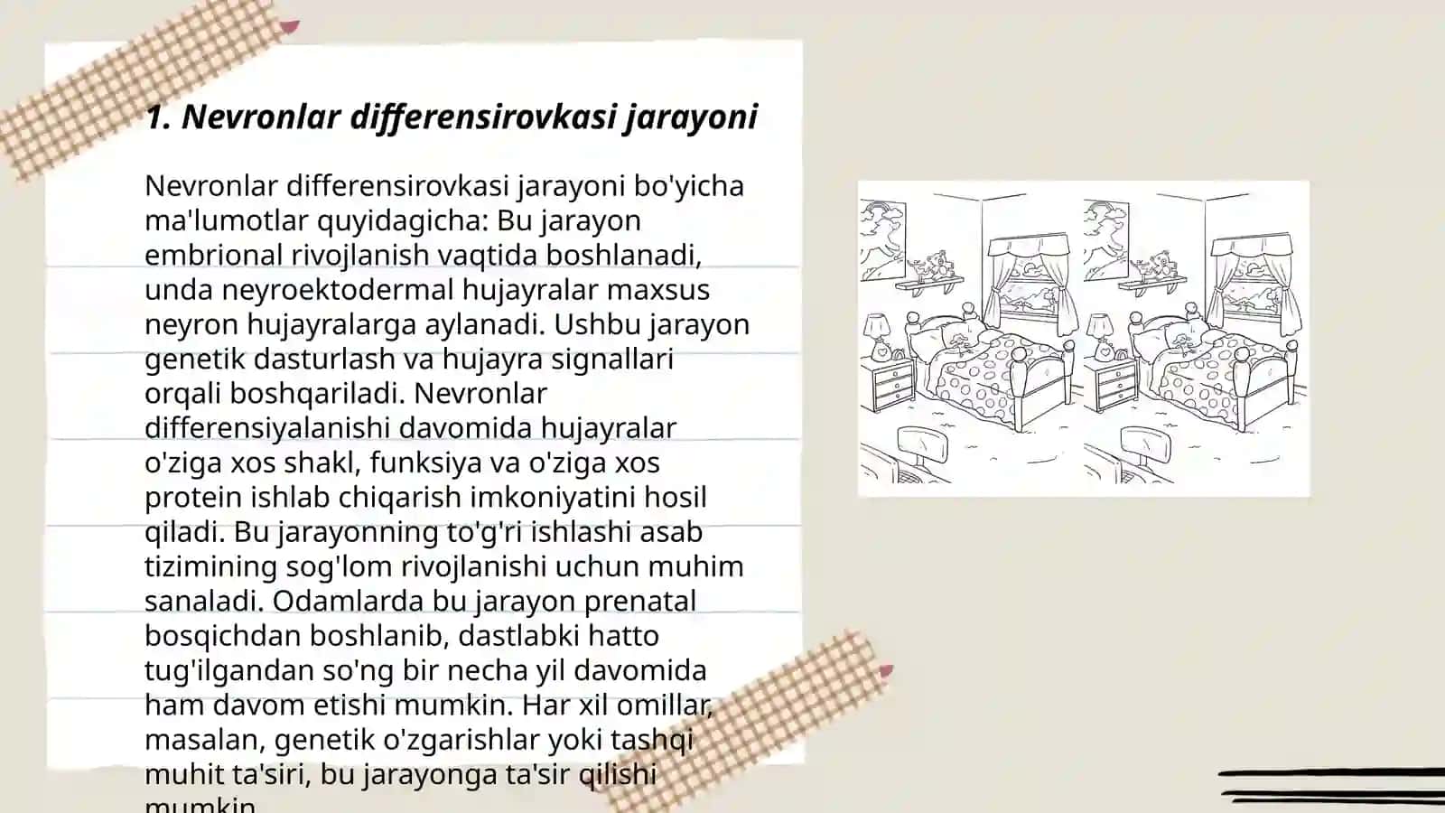Nevronlar differensirovkasi jarayoni 3