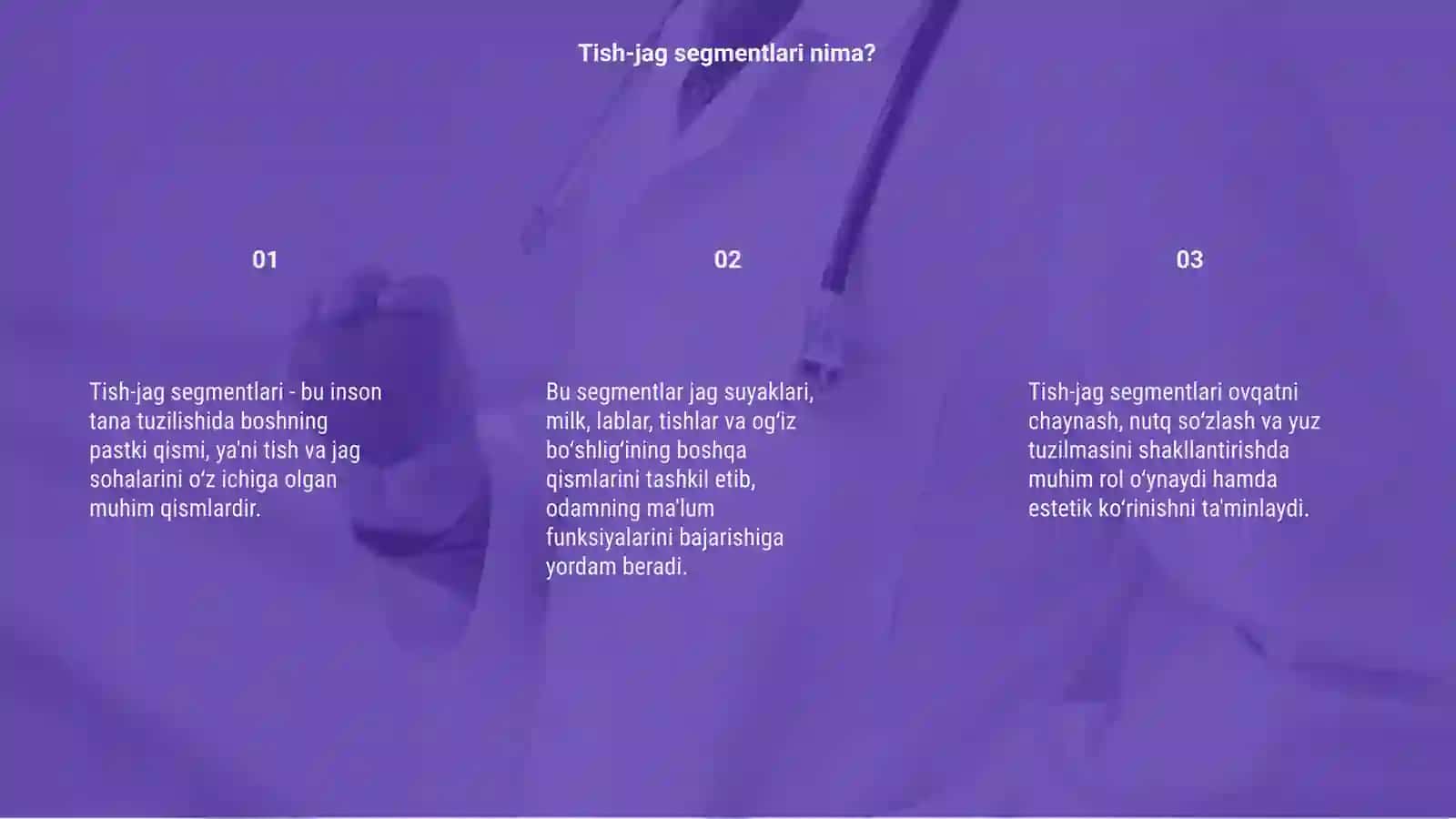 Tish-jag segmentlari 3