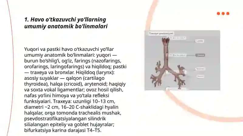 Nafas olish tizimi 3