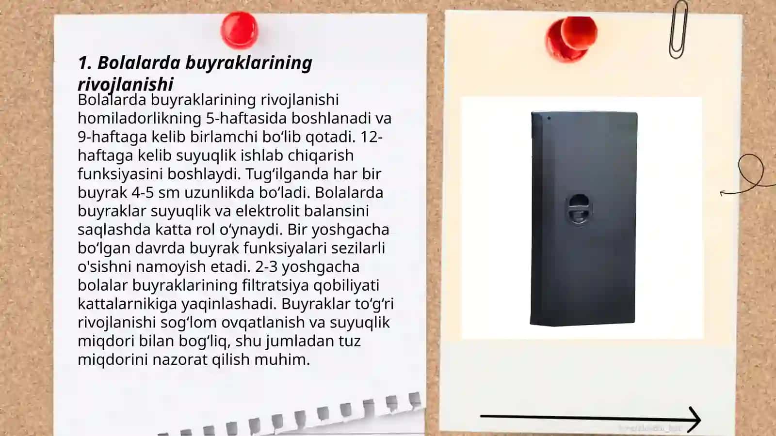 Bolalarda buyraklarining rivojlanishi 3