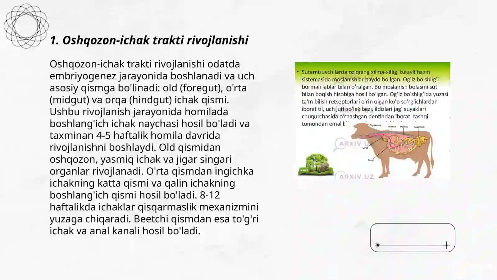 Ovqat hazm qilish organlarining yoshga xos xususiyatlari 3