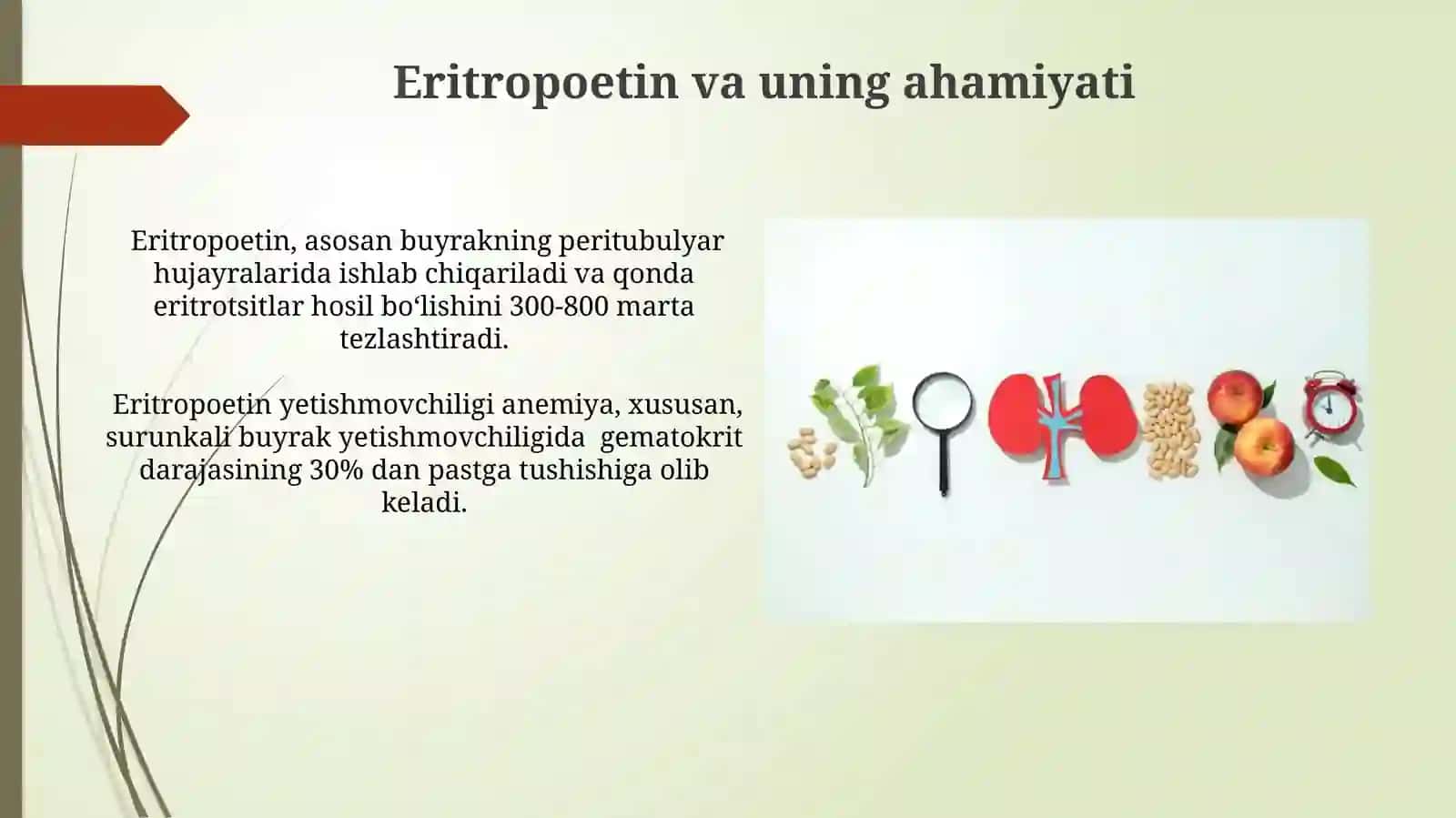 Buyrakning gomeostatik vasekretorfuntsiyasi 3