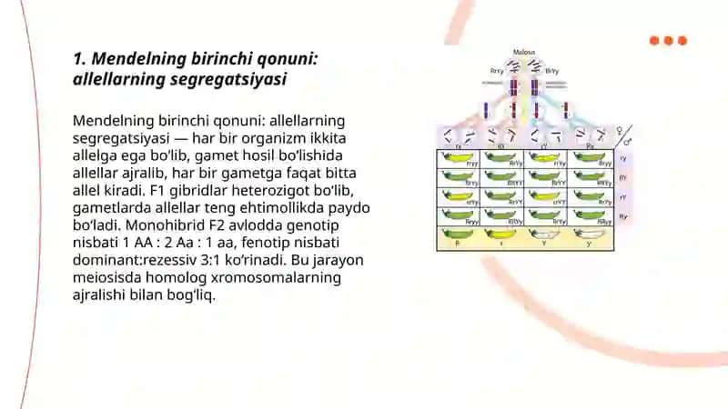 Mendelning 1,2-qonuni 3