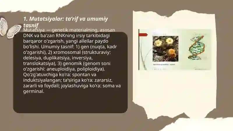Mutatsiyalar 3